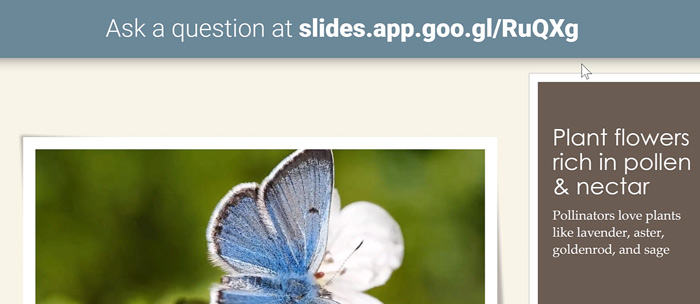 notification banner notification banner