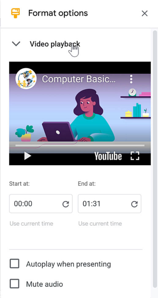 format options video playback