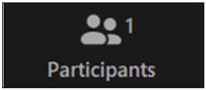 Participants