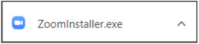 Zoom installer