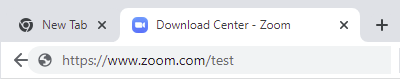 www.zoom.com/test