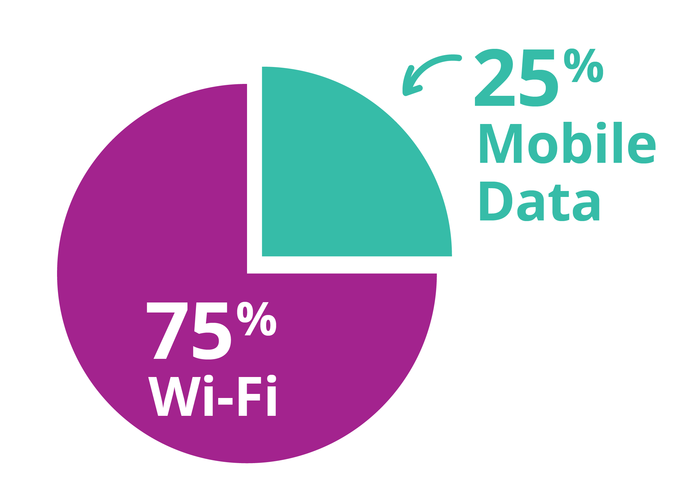 A pie chart showing how much mobile data allowance has been used compared to how much the cheaper Wi-Fi data has been used by apps