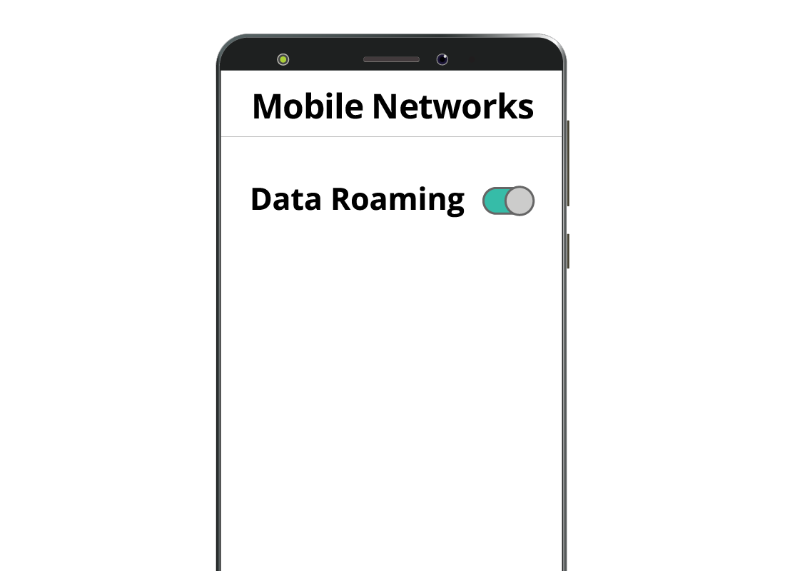 The Data Roaming button in the settings of a mobile phone
