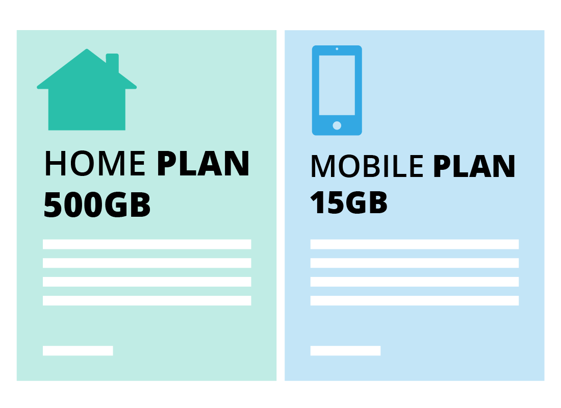 Two separate internet plans one for home data and the other for mobile data