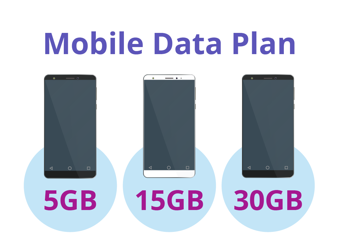 A diagram showing different levels of data on different mobile plans